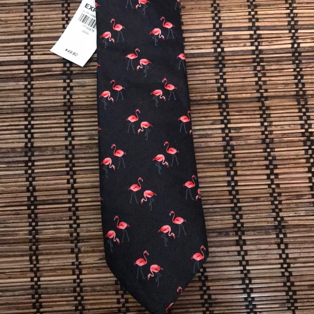 NWT Express Tie